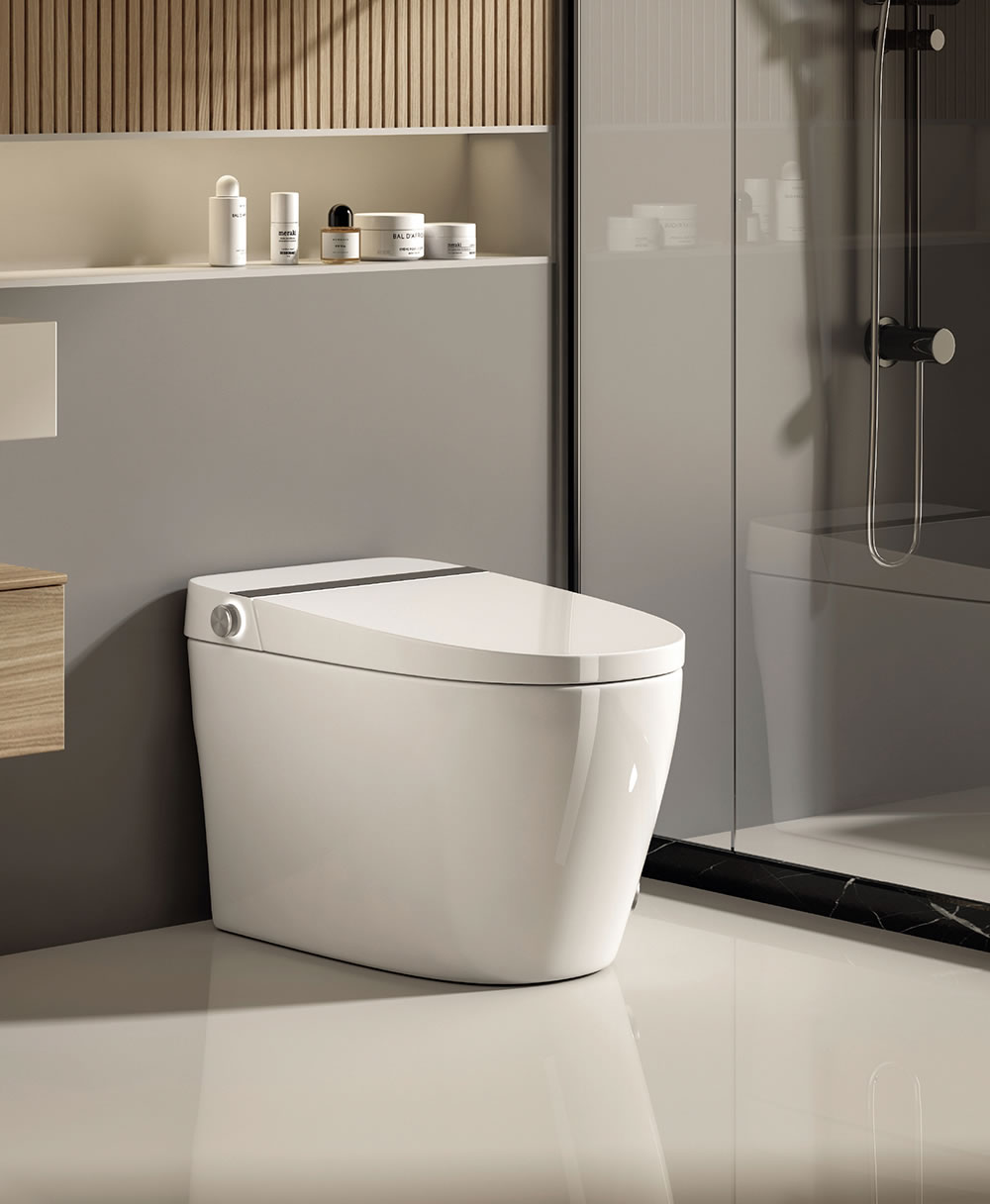 Non Electronic Smart Toilet