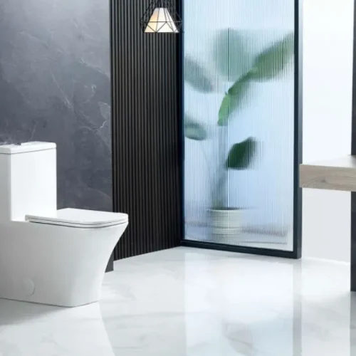 1 piece toilet