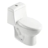 1 Piece Elongated Toilet CL-12210A