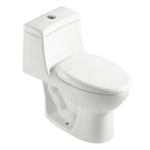 1 Piece Elongated Toilet CL-12210A