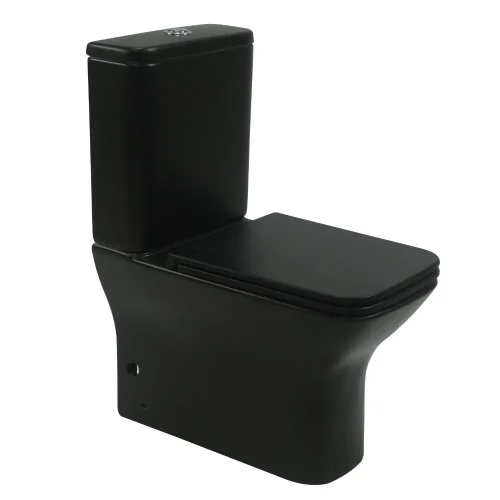 10 in Rough In Toilet CL-12248BYA