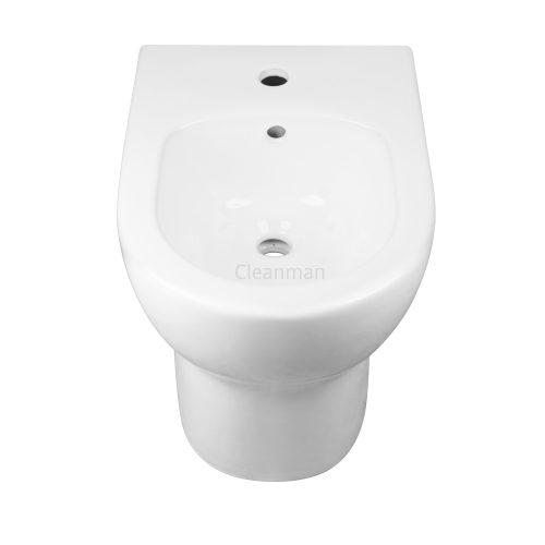 floor standing bidet toilet