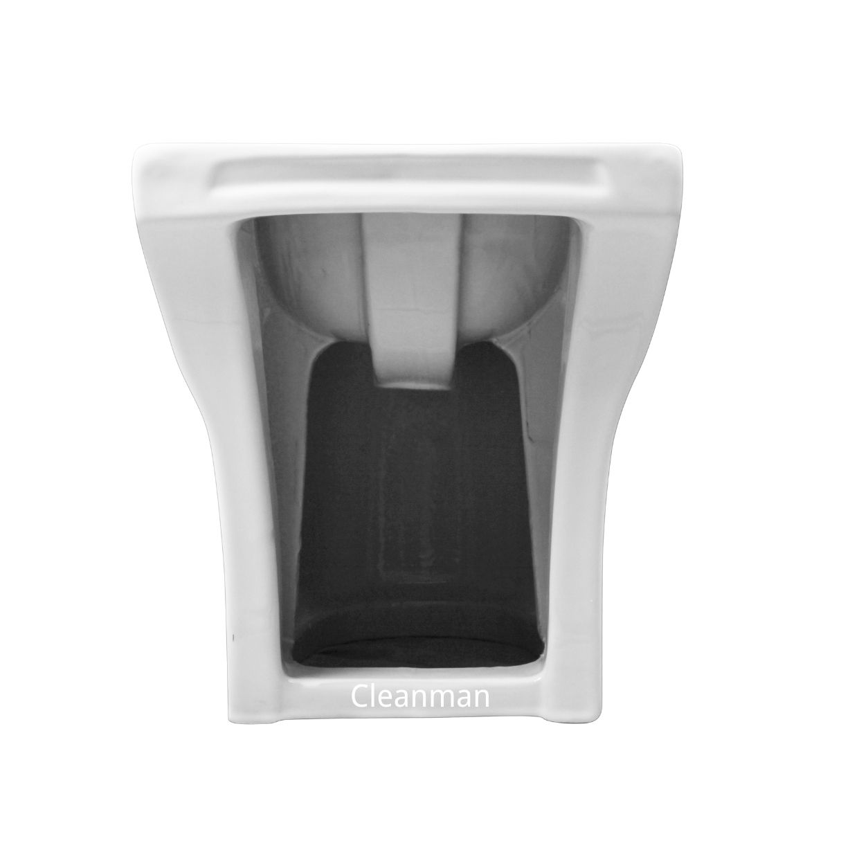 CL-12277F bidet toilet