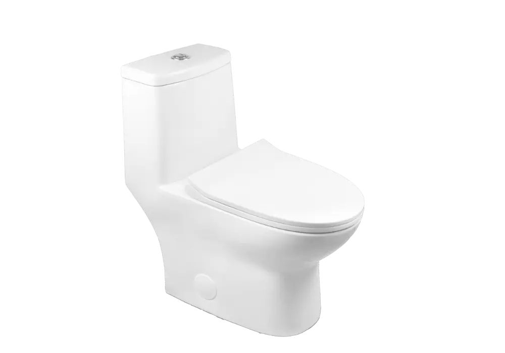 1 Piece Toilet 10 Inch Rough In CL-12298A