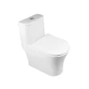 1 Piece Toilet CL-12366-1