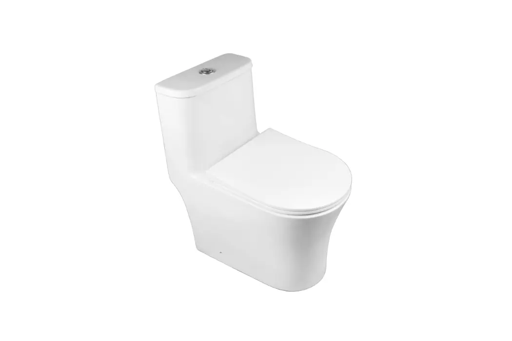 1 Piece Toilet CL-12366-1