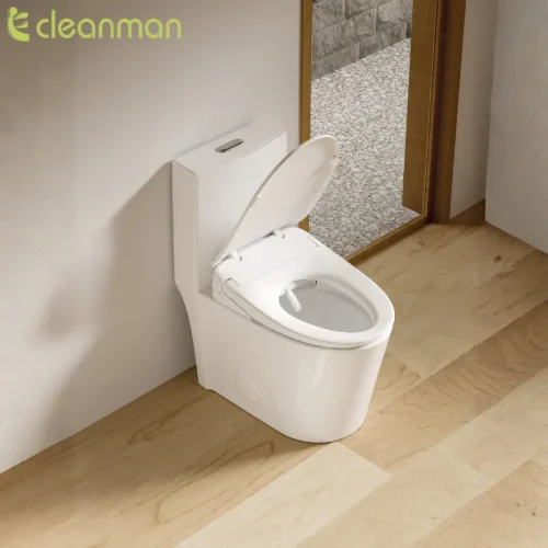 Smart toilet seat wholesale CL-K1