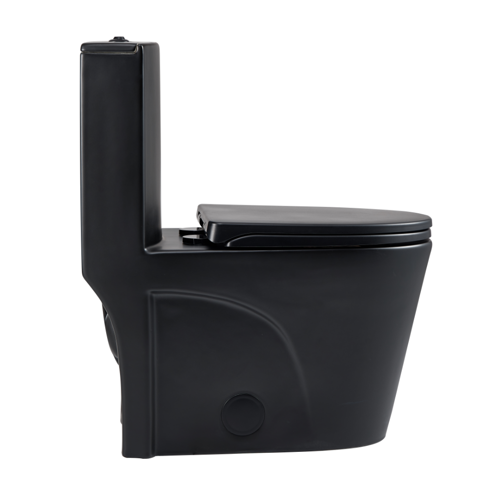 toilet supplier model 12011YA matt color toilet