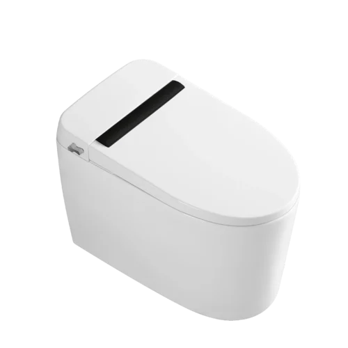 CL-619 non-electric smart toilet